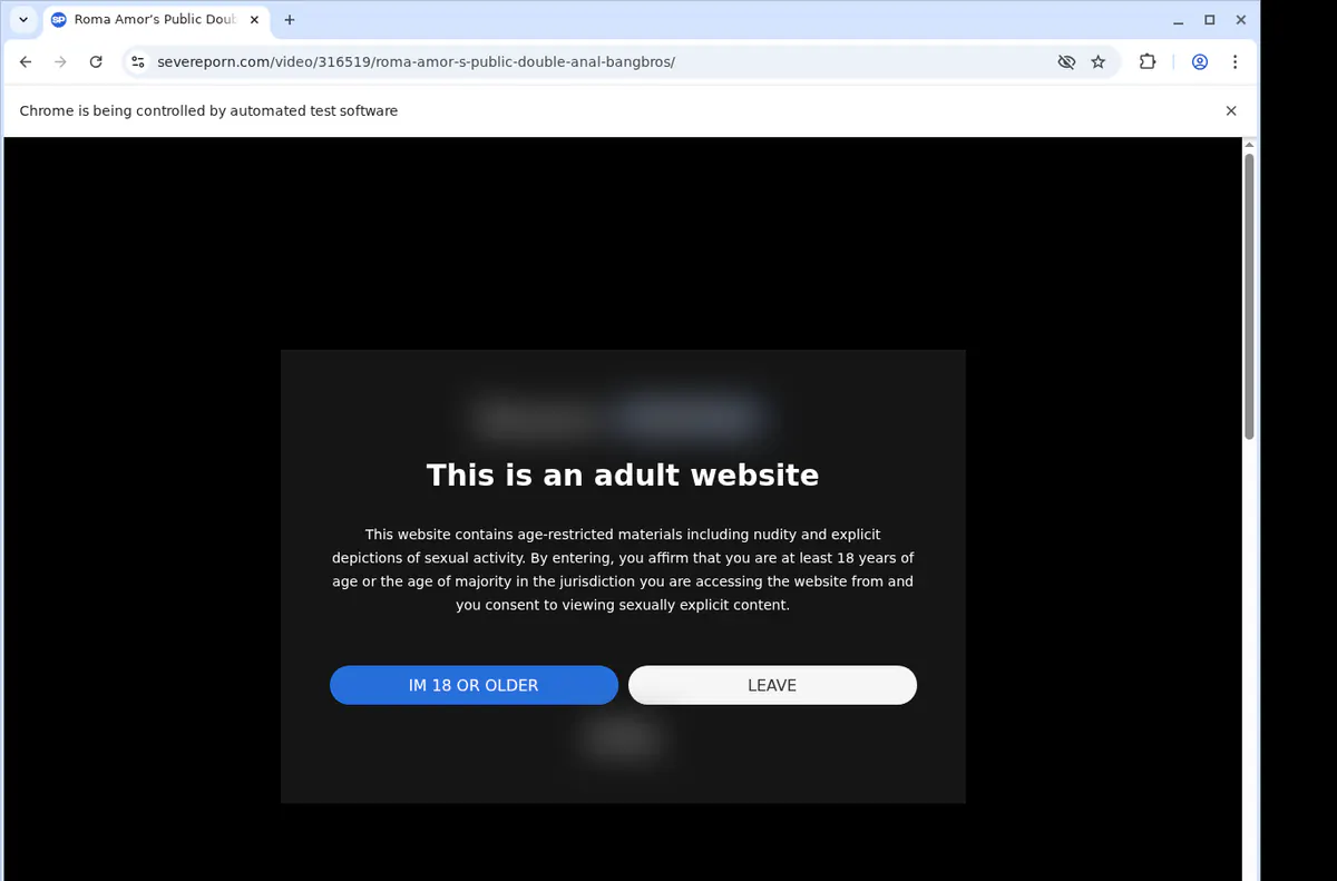 Severeporn Video Downloader screenshot 2