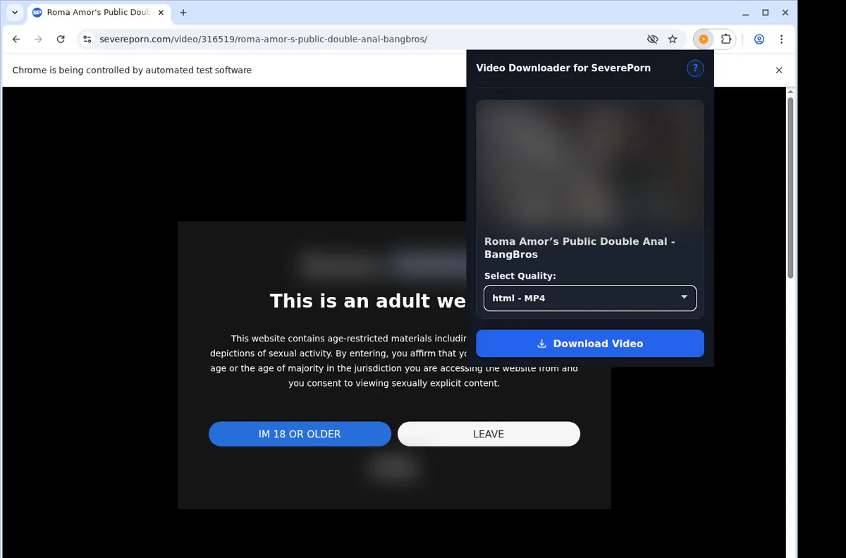 Severeporn Video Downloader screenshot 3
