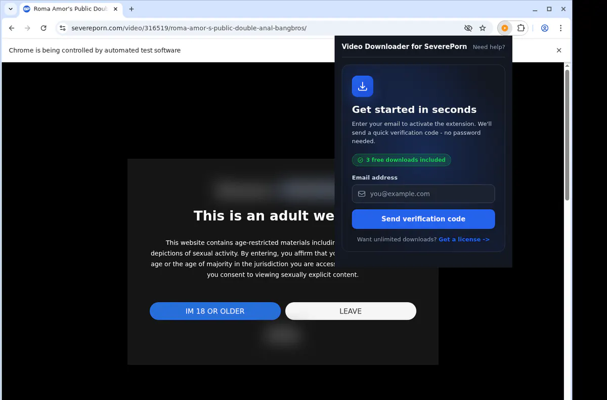 Severeporn Video Downloader screenshot 5